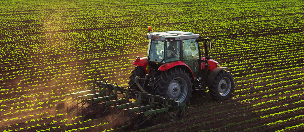 Assurance spécialisée en entreprise agricole