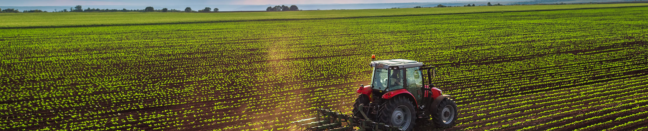 Assurance spécialisée en entreprise agricole