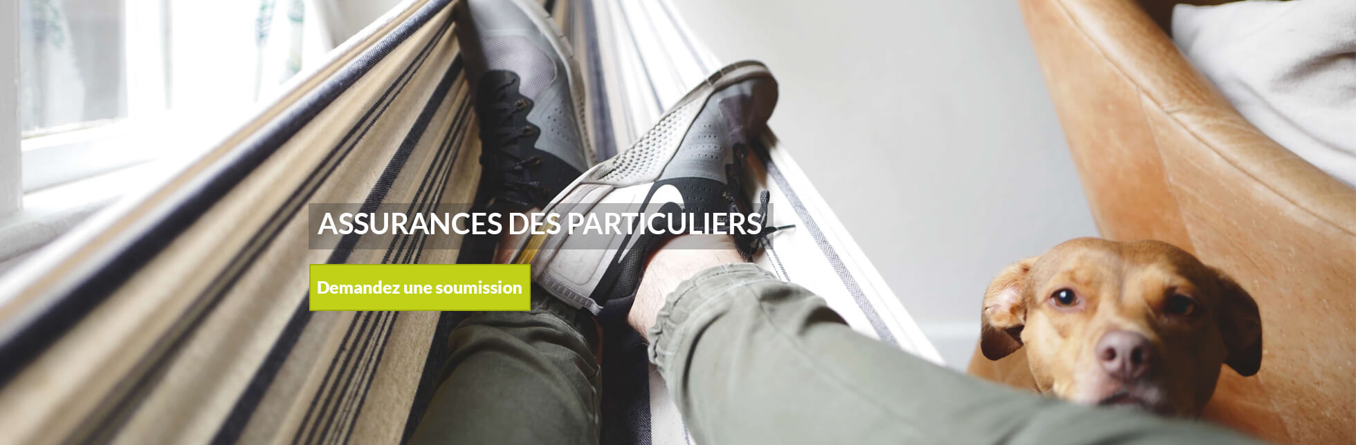 Assurances des particuliers